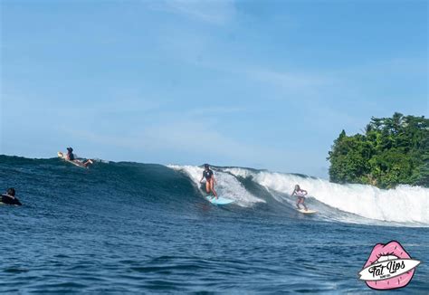 siargao scandal|Our Shop — Fat Lips.